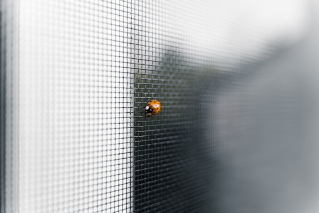 간편하게 집에서 하는 방충망 청소법-첫번째